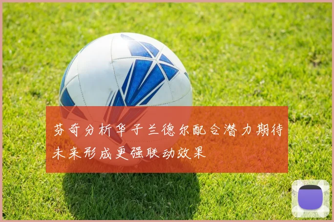芬奇分析华子兰德尔配合潜力期待未来形成更强联动效果
